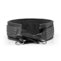 Best Belt Squat Machine Beentrainers