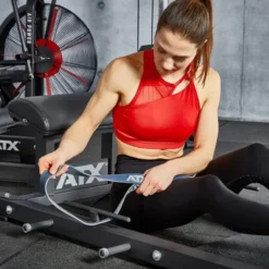 Online Hip Thruster Bench Glute Ham Developers|Beentrainers