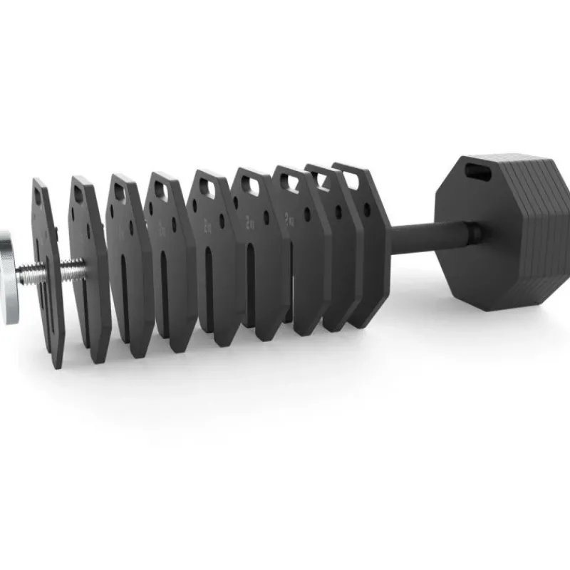 Sale Octa Dumbbells 2 x 36 kg Octa Dumbbells|Verstelbare Dumbbells