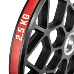 Discount ATX Technique Plates Bumper Plates|Fractional Plates