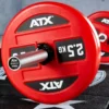 Outlet Weightlifting Technique Bar 10 kg Crosstraining Halterstangen|Olympische Halterstangen 50 Mm