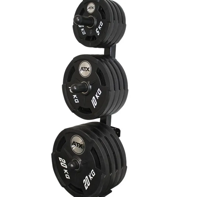 Sale Wall Plate Tree - 50 mm Voor Halterschijven